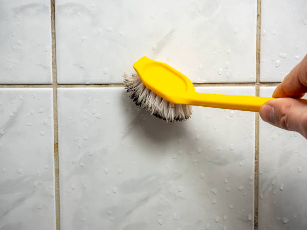 Best Fast Mold Removal  in Manchester, VA