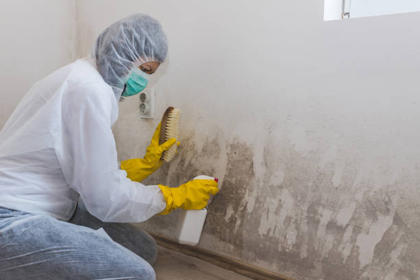 Best Water Damage Restoration  in Manchester, VA