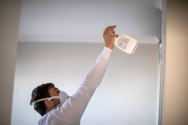 Best Home Mold Removal  in Manchester, VA