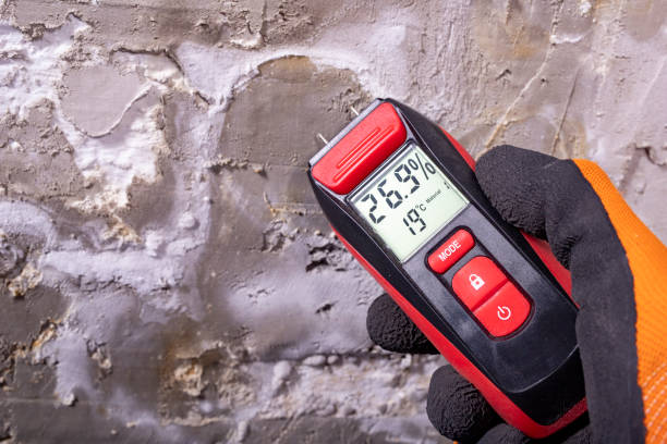 Professional Mold Removal in Manchester, VA