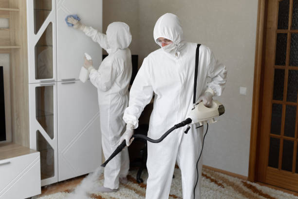 Best Best Mold Removal Companies  in Manchester, VA