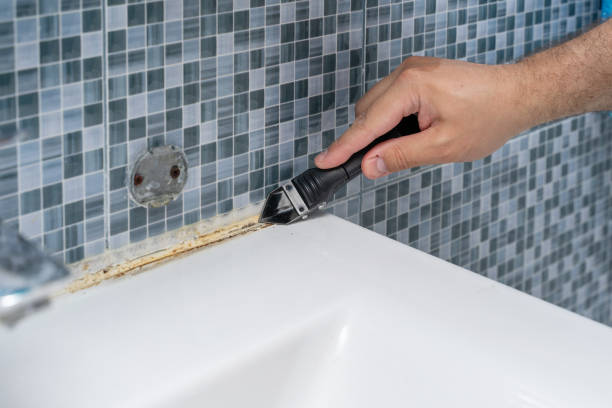 Best Mold Removal Near Me  in Manchester, VA