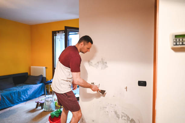 Best Best Mold Removal Companies  in Manchester, VA