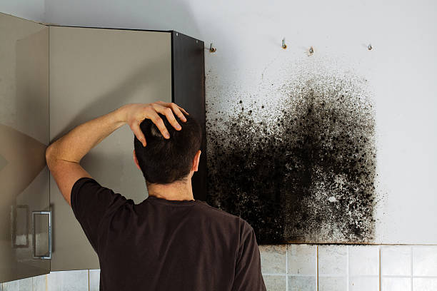 Best Mold Testing  in Manchester, VA